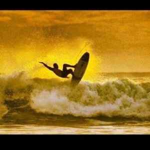 Meet your Posher, Viki